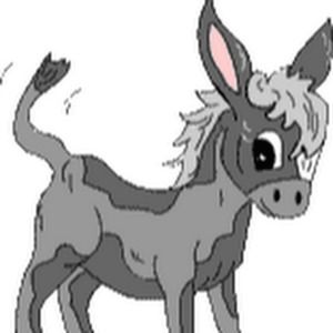 Meet your Posher, Aedan